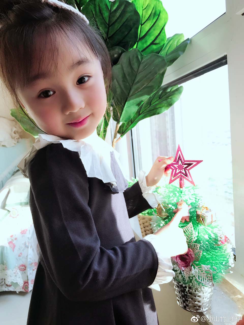 小山竹—美伊