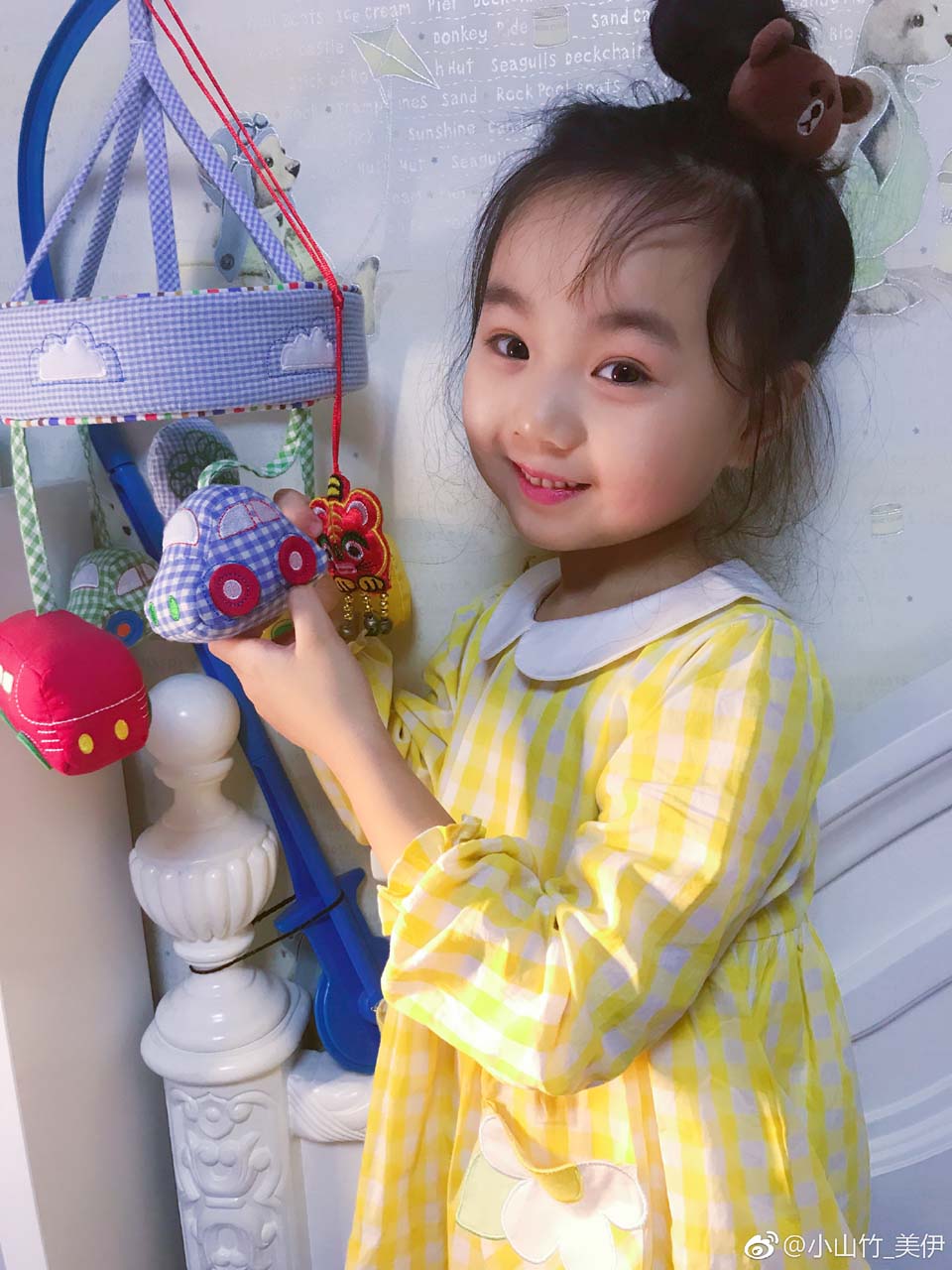 小山竹—美伊