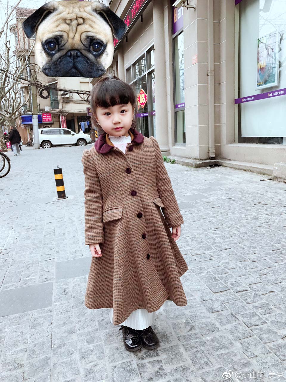 小山竹—美伊