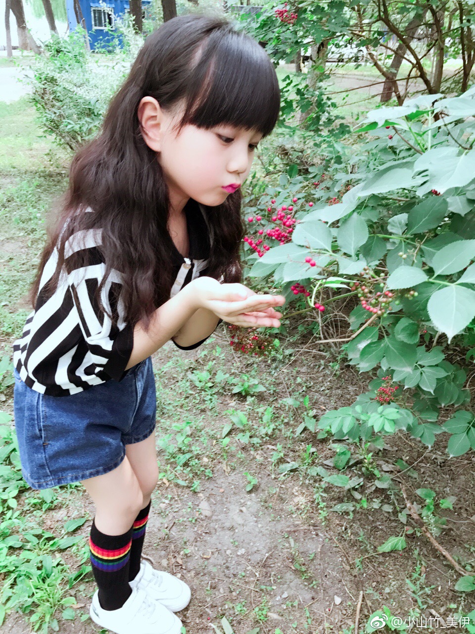 小山竹—美伊