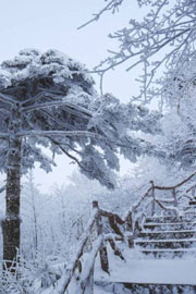 安徽黄山雪景