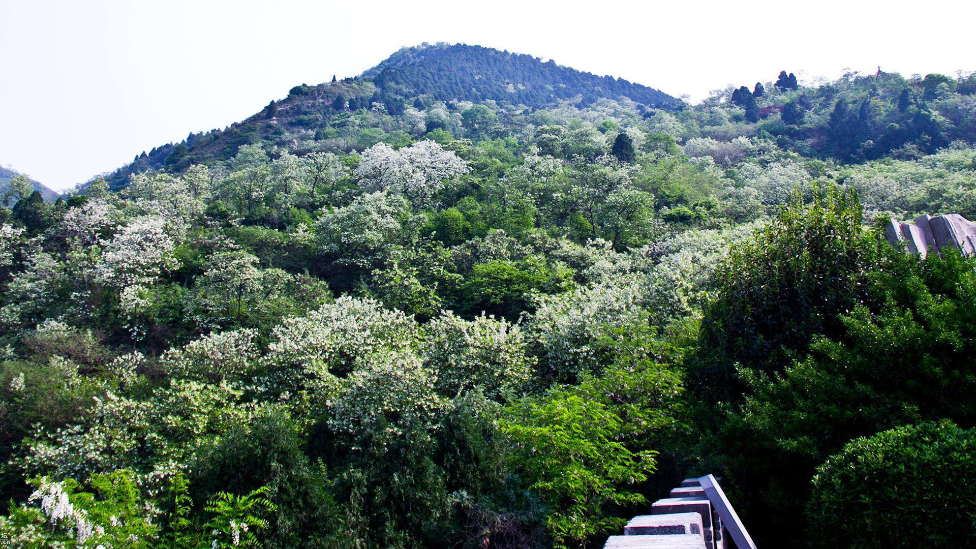 西安骊山