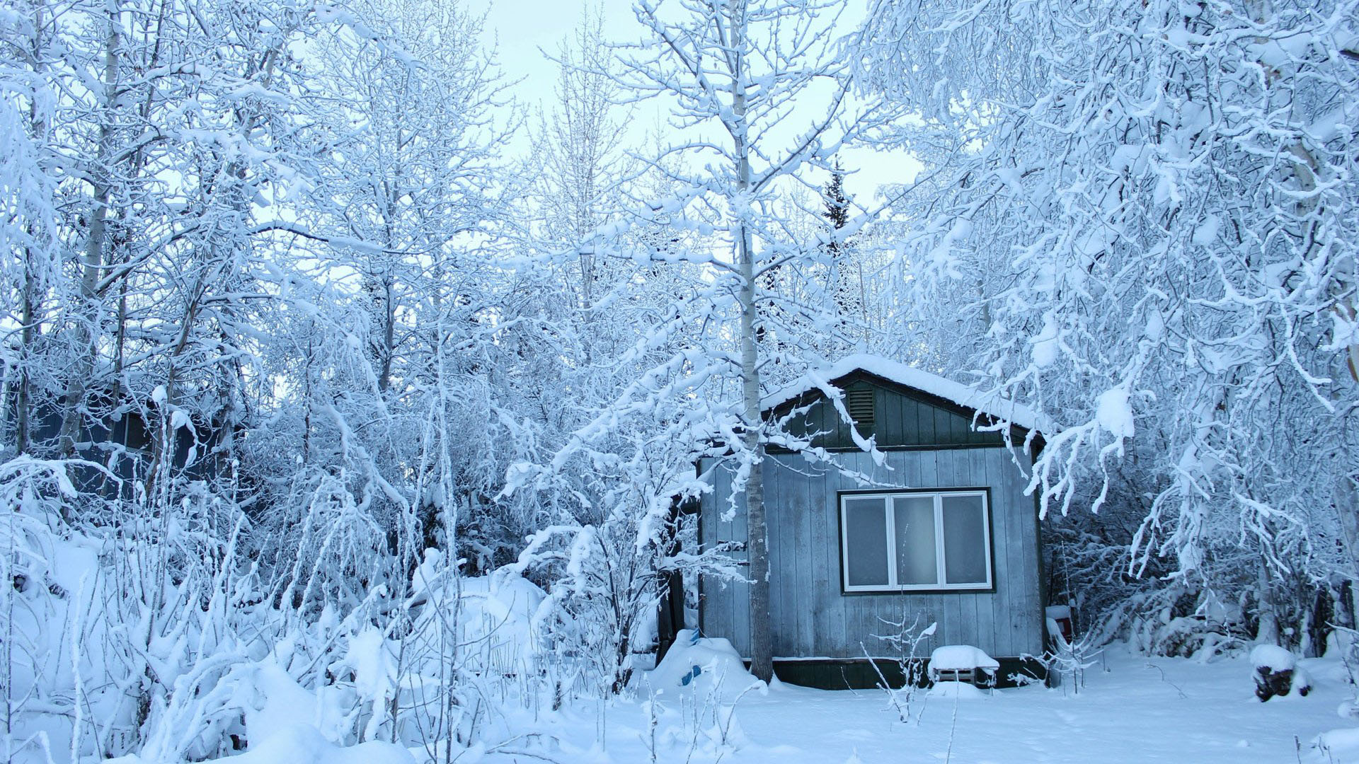 唯美意境冬日雪景