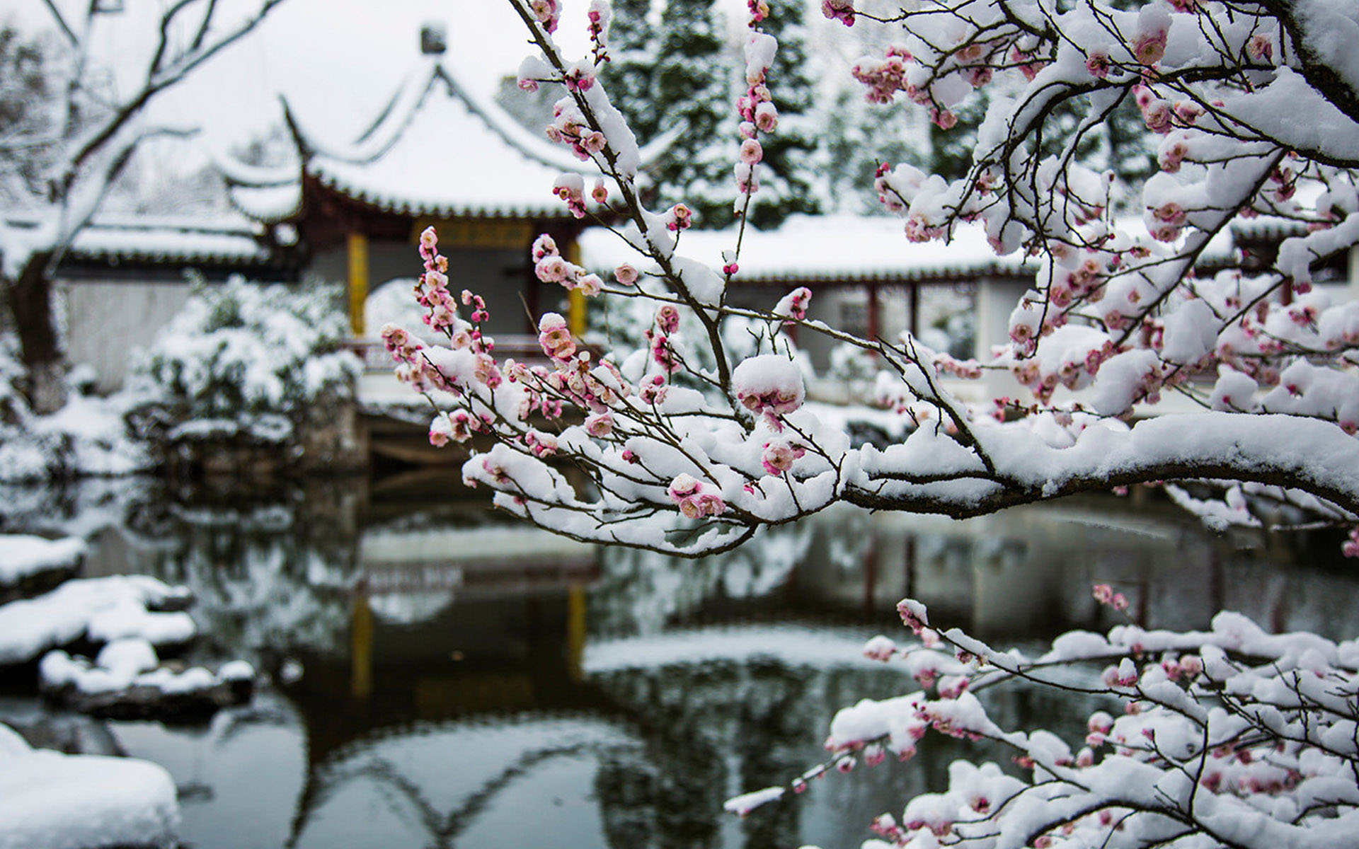 南京园林雪景