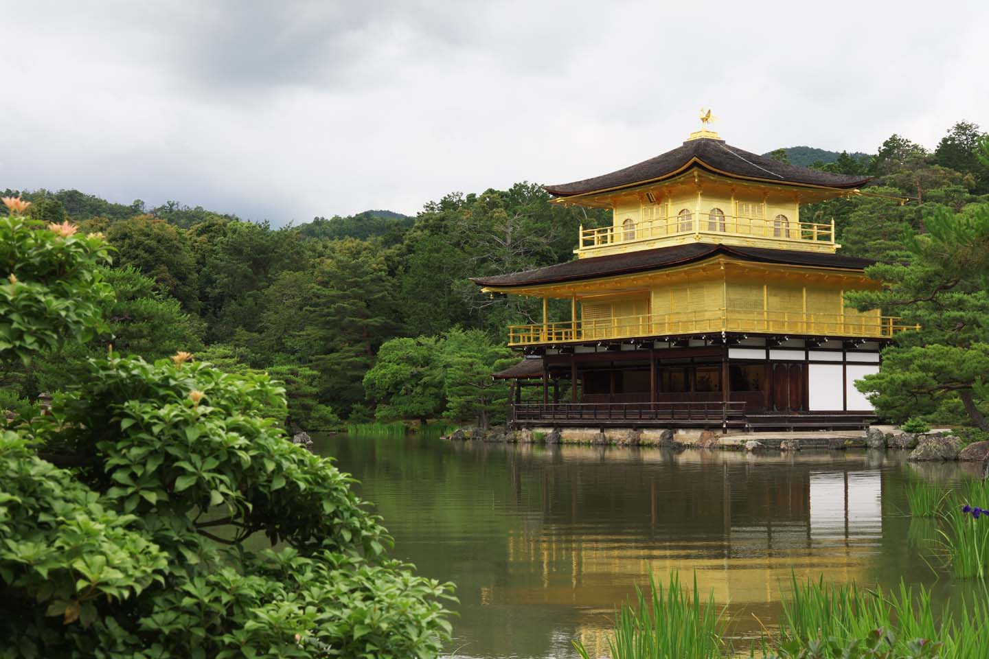 日本京都金阁寺