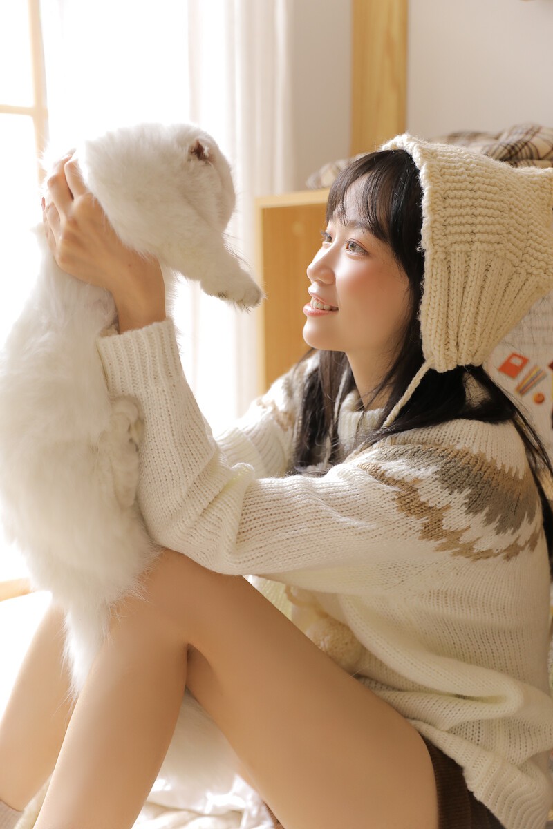少女和猫猫的午后