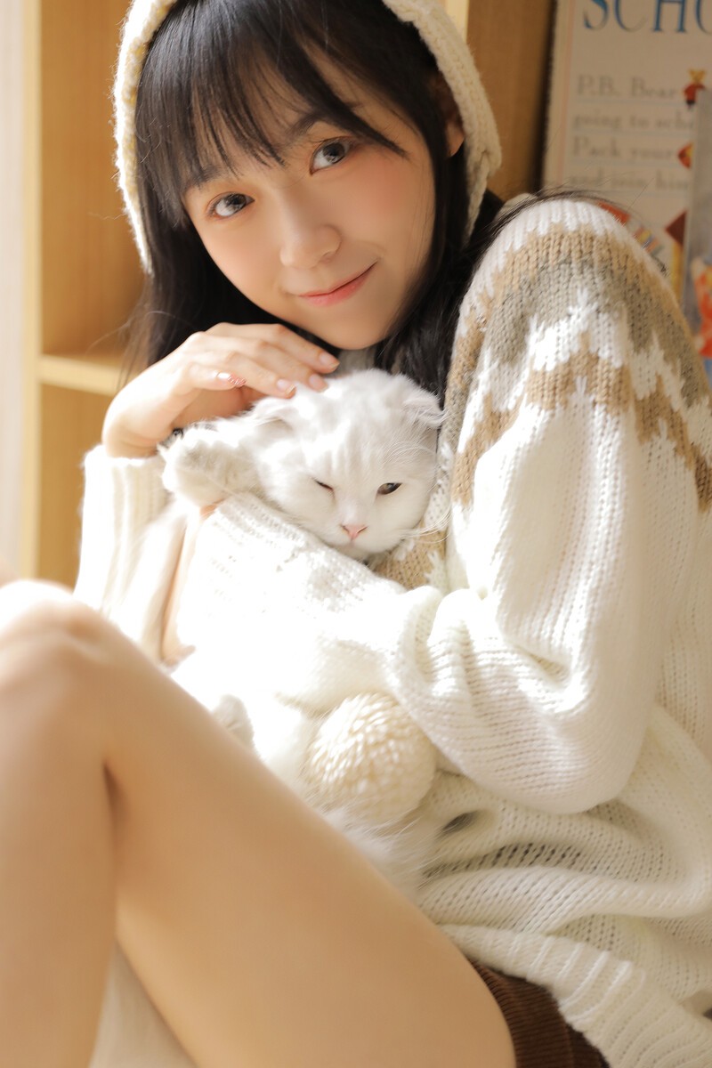 少女和猫猫的午后