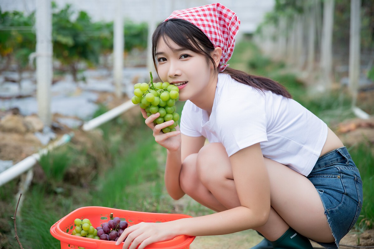 葡萄