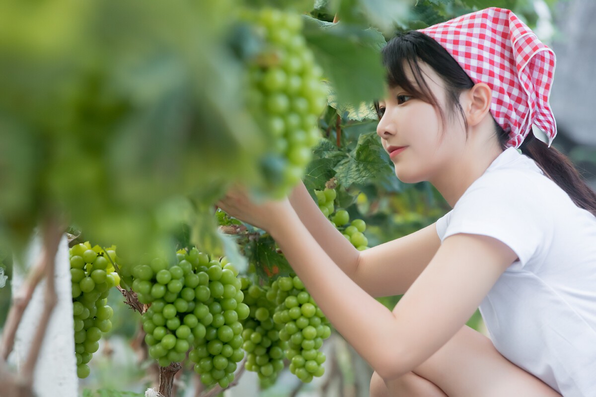 葡萄