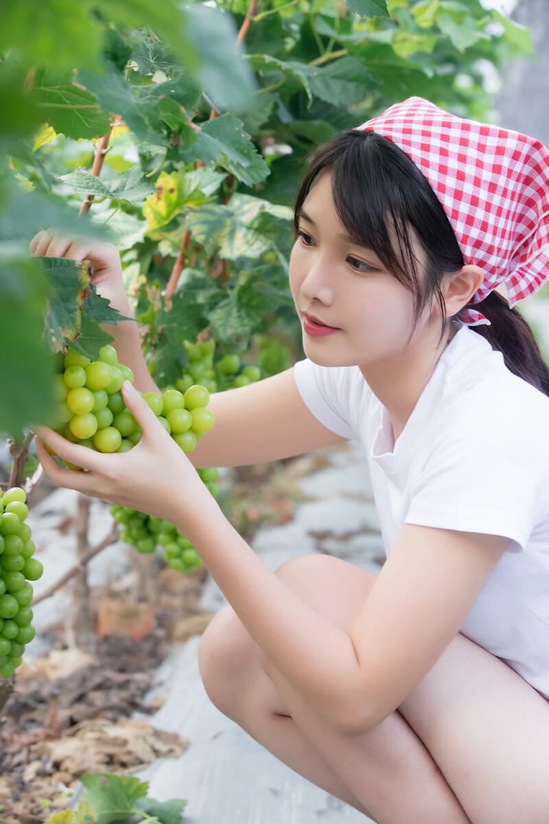 葡萄