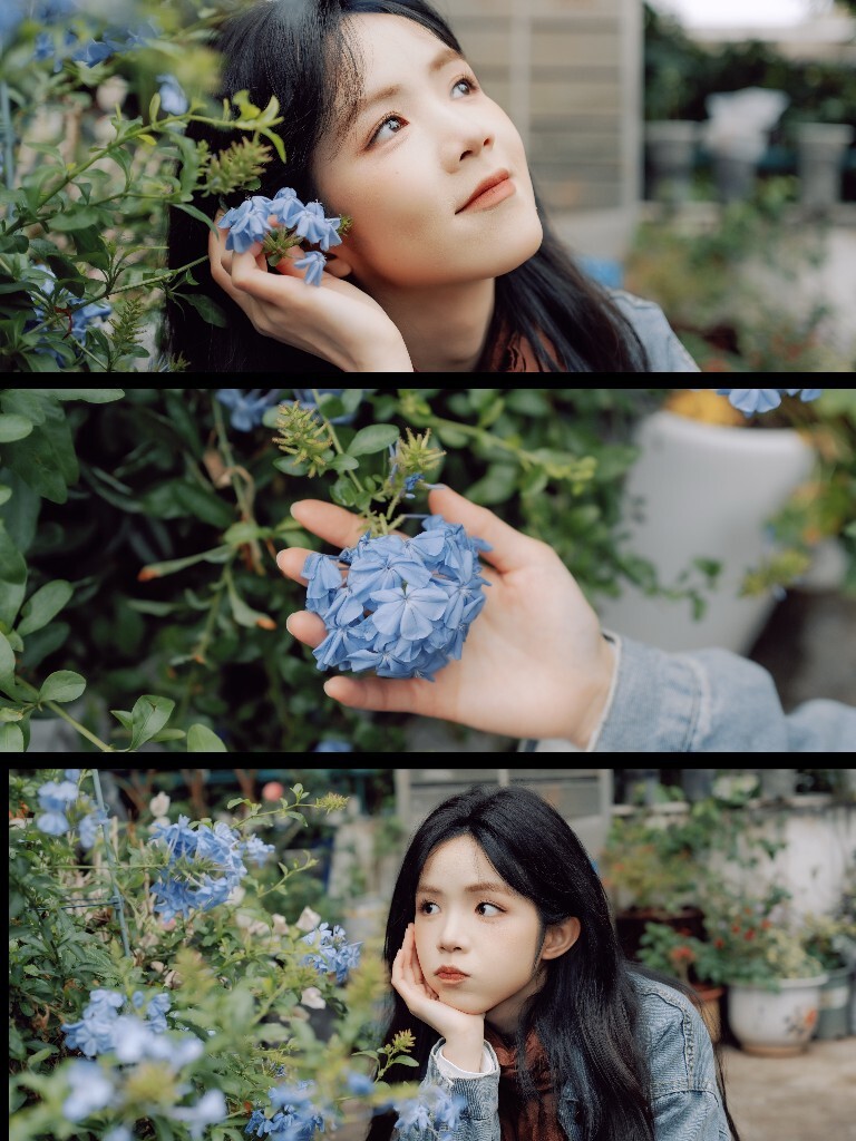 四月的花季