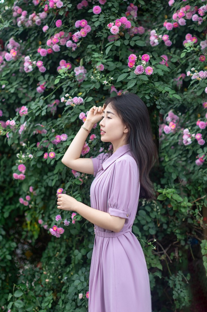 蔷薇花下
