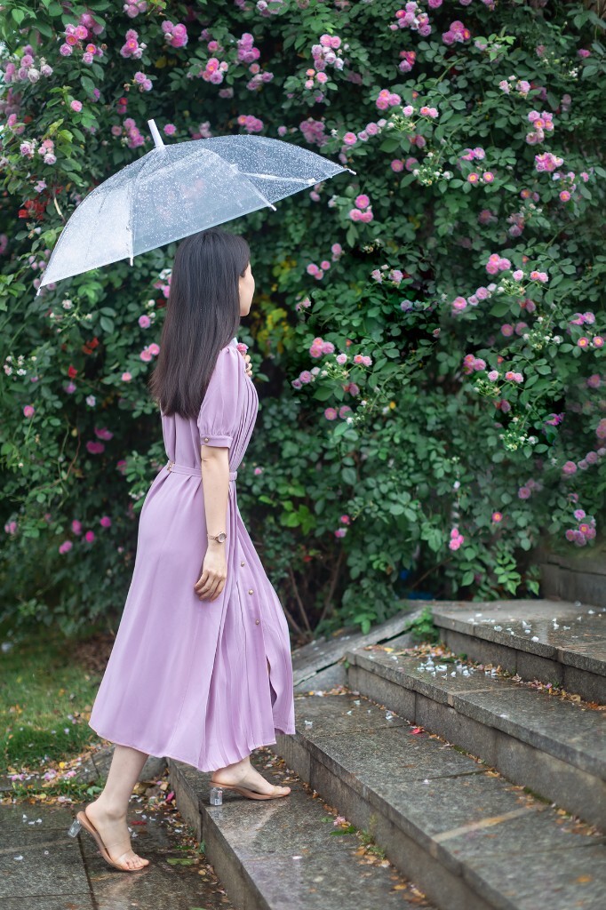 蔷薇花下