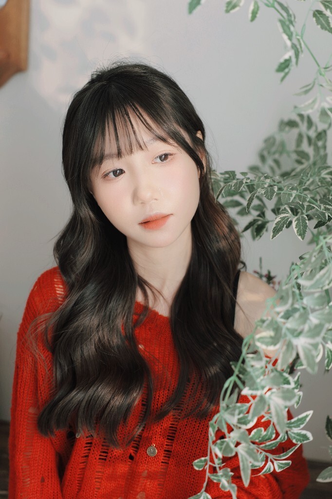 红衫绮梦