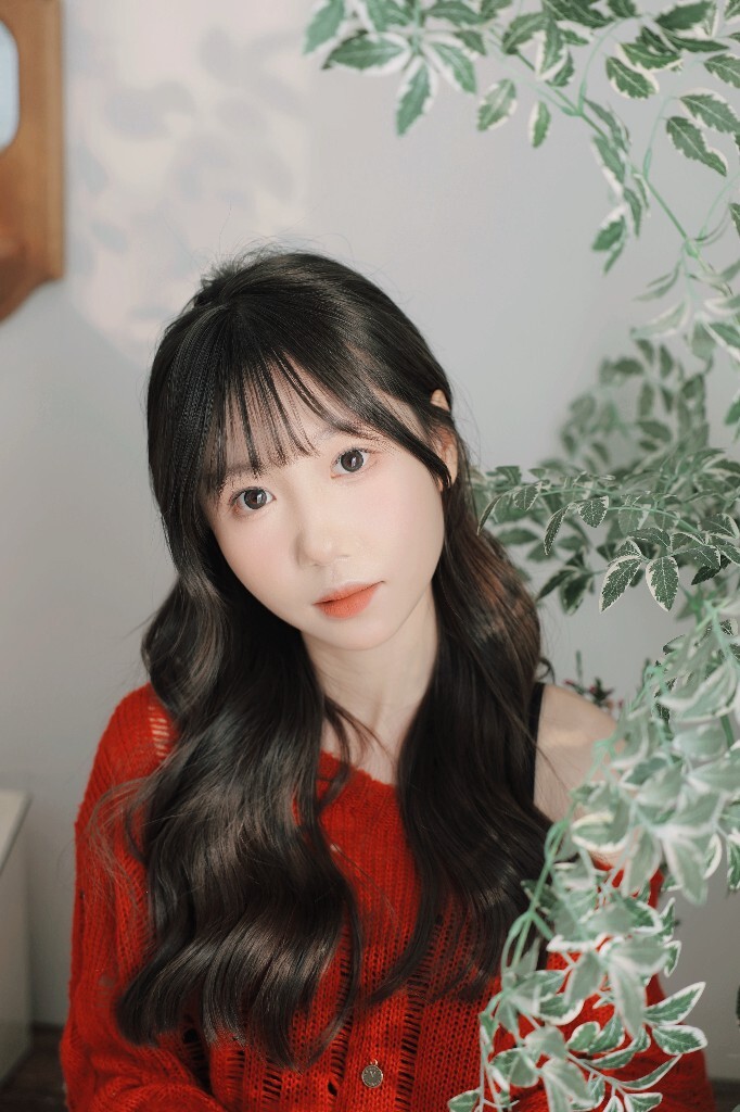 红衫绮梦