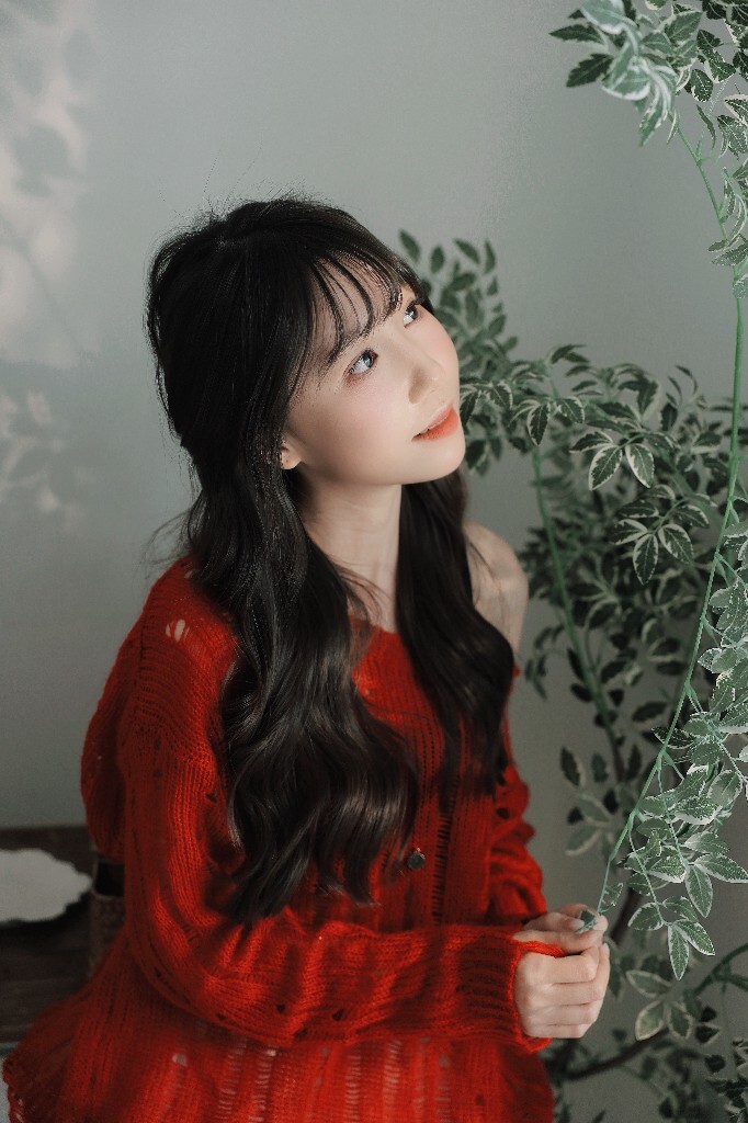 红衫绮梦