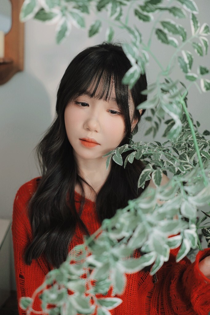 红衫绮梦