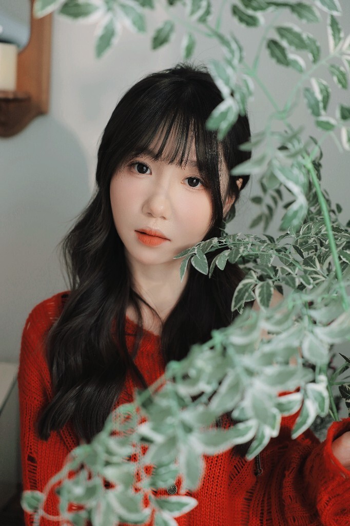 红衫绮梦