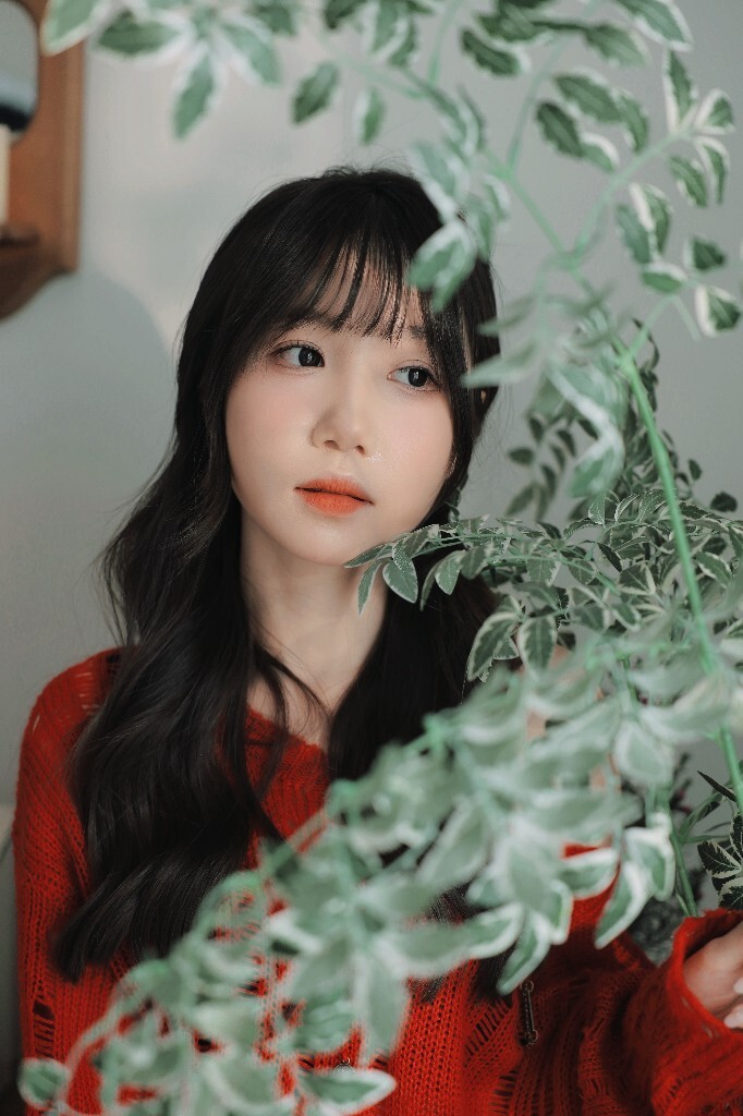 红衫绮梦