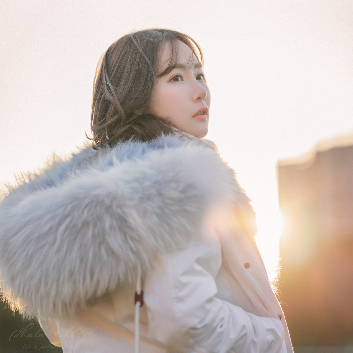 球球—年少时光如梦