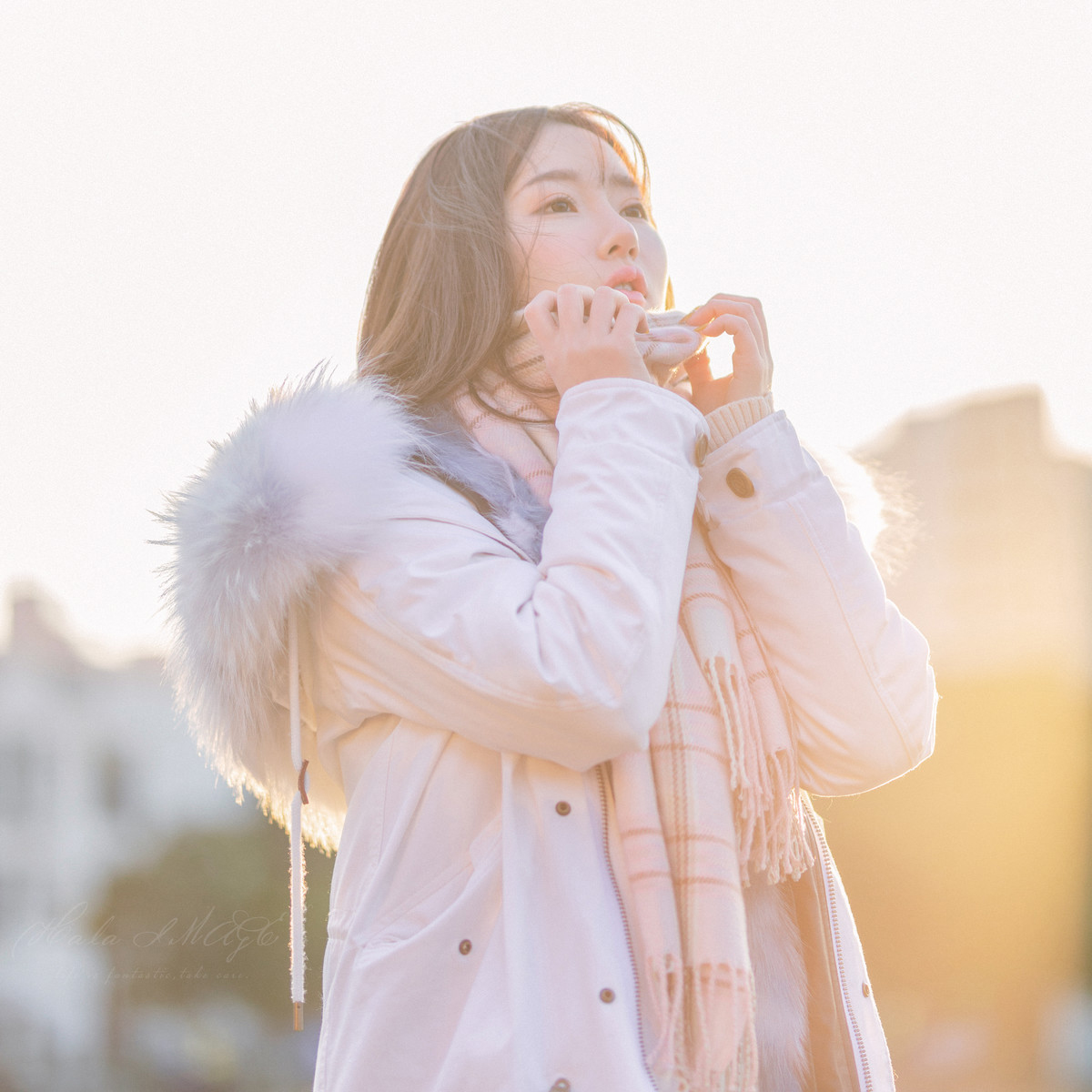 球球—年少时光如梦