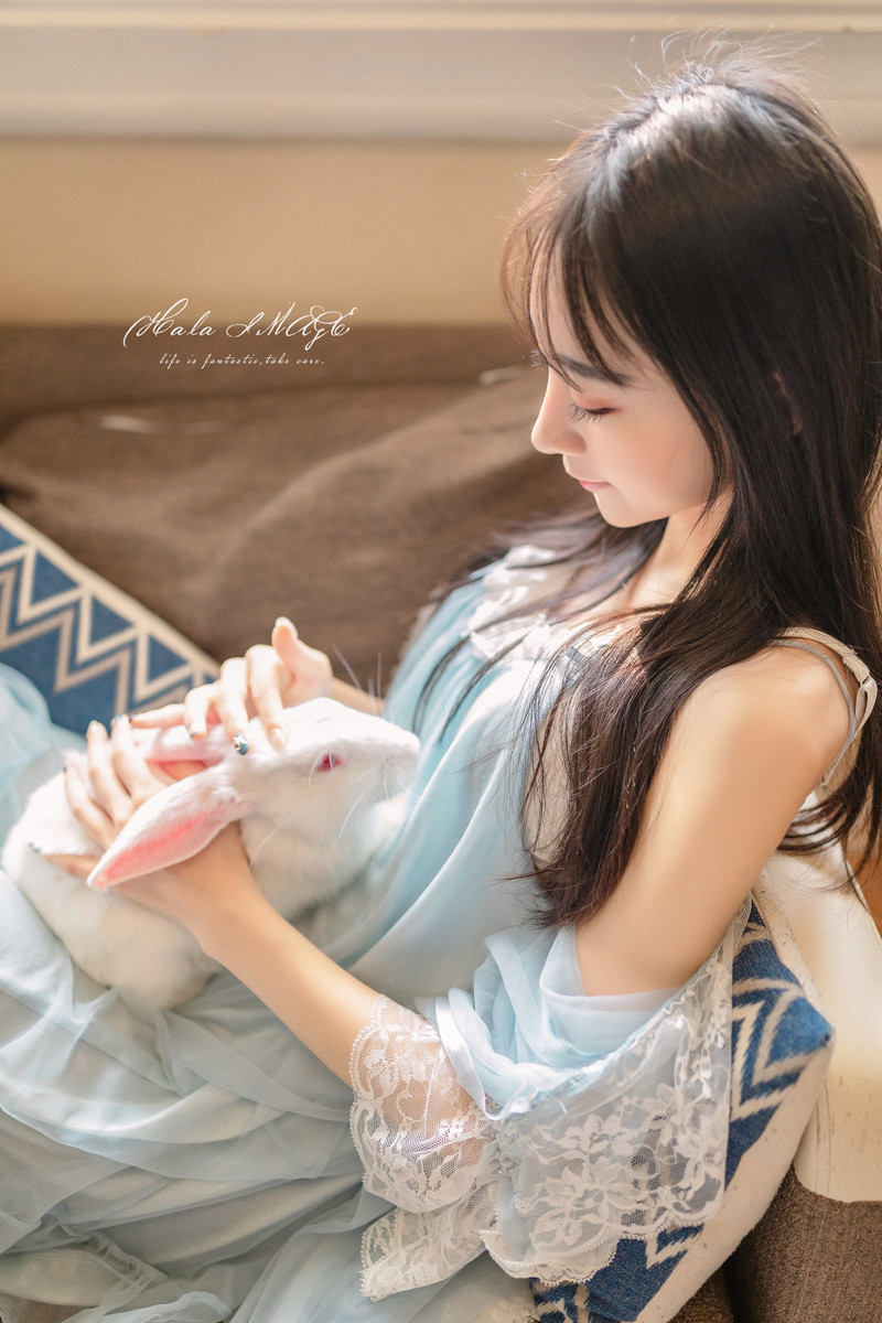 兔子—美目盼兮