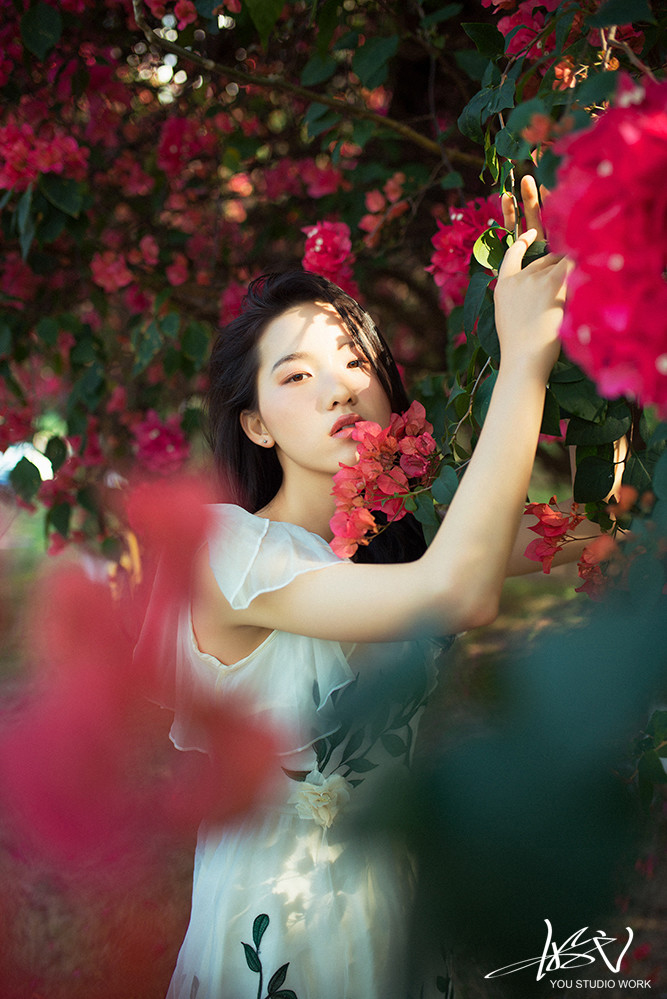 大千—纷纷