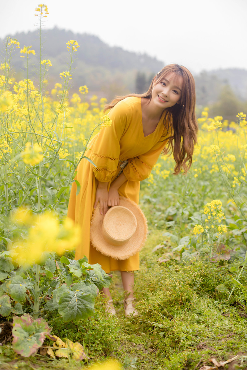 油菜花少女