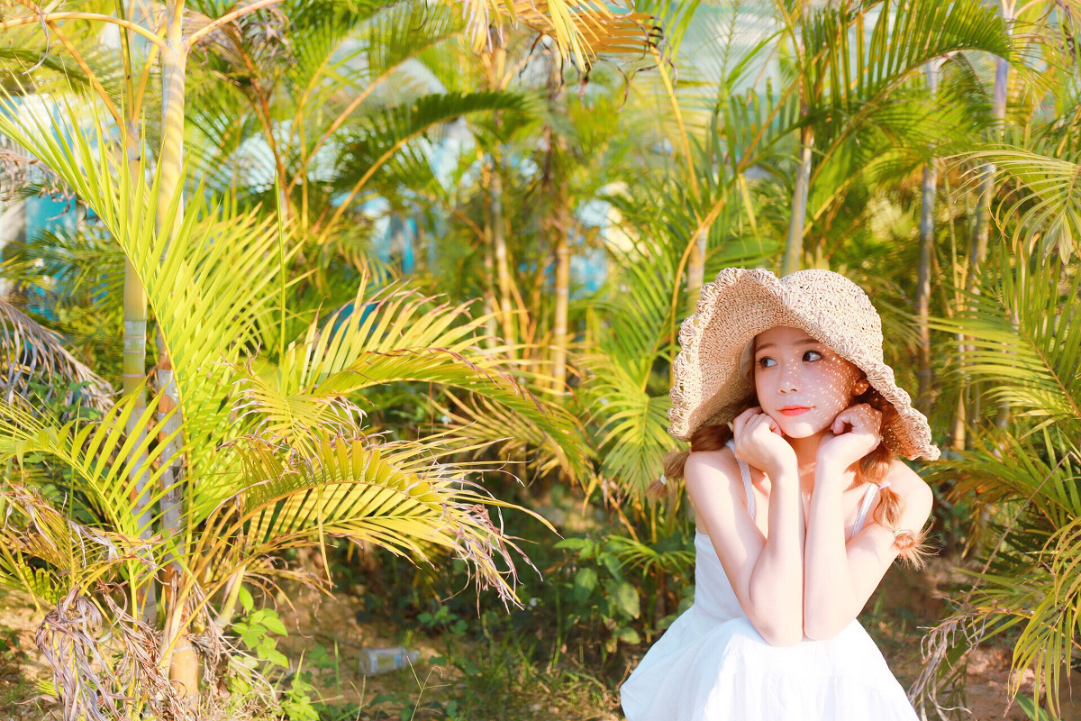 雨潼olivia—夏日暖阳
