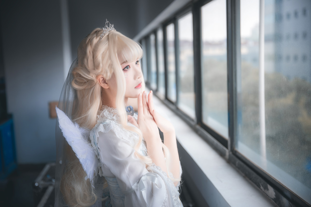 理想乡—永生花