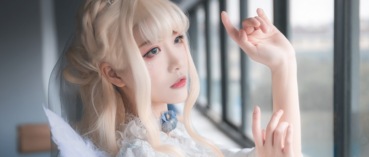 理想乡—永生花