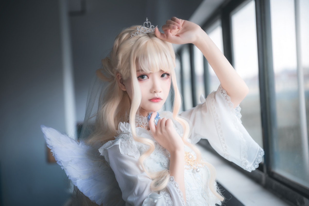 理想乡—永生花