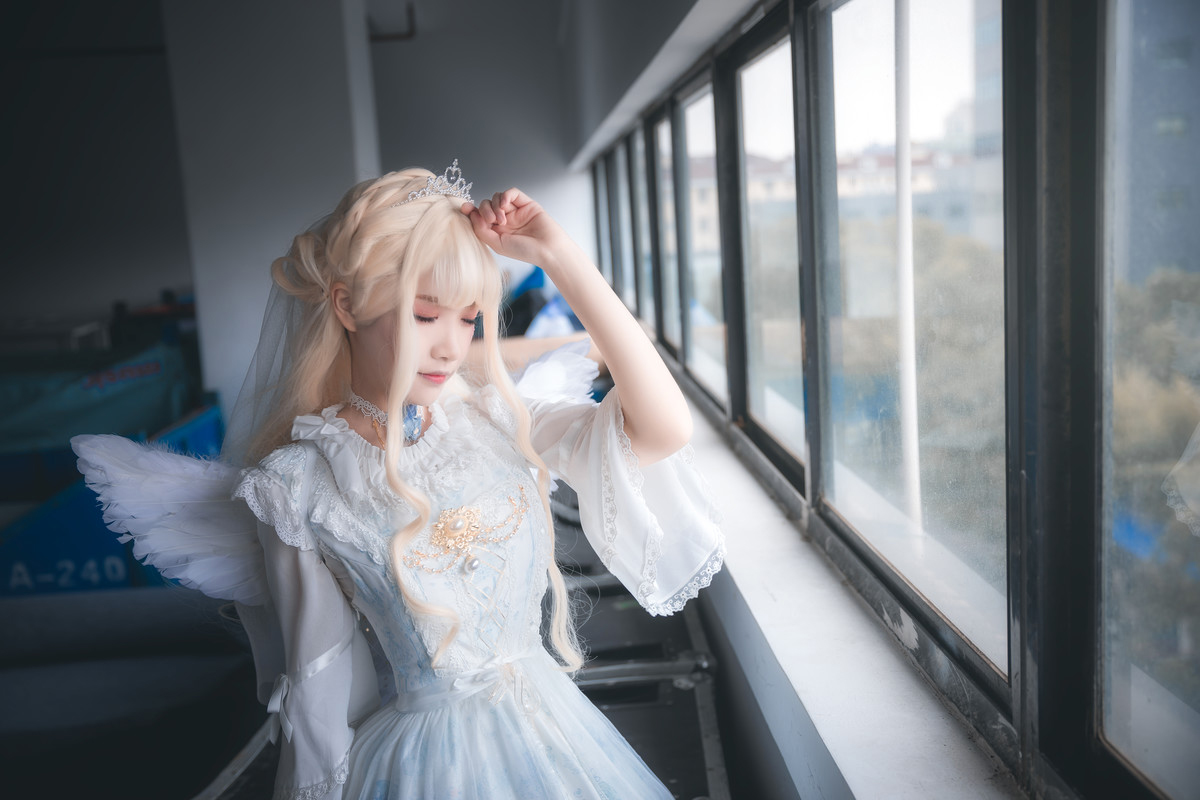 理想乡—永生花