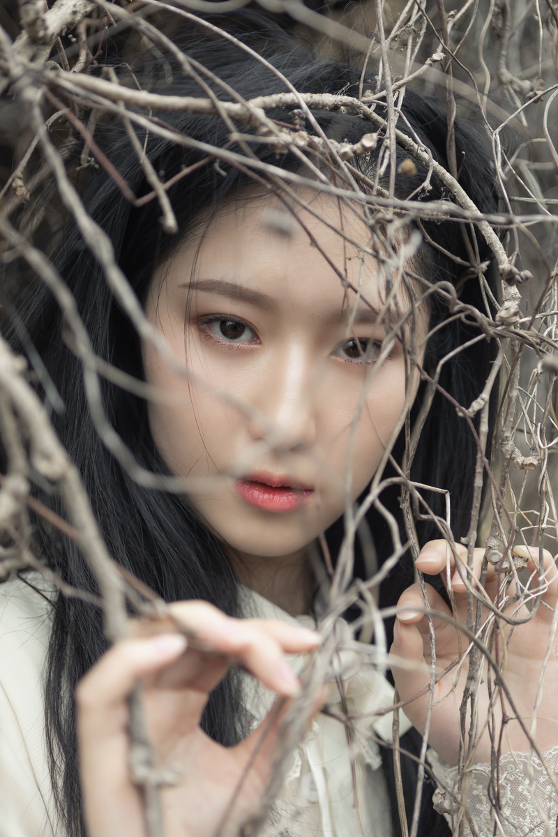 李泱—那年那天