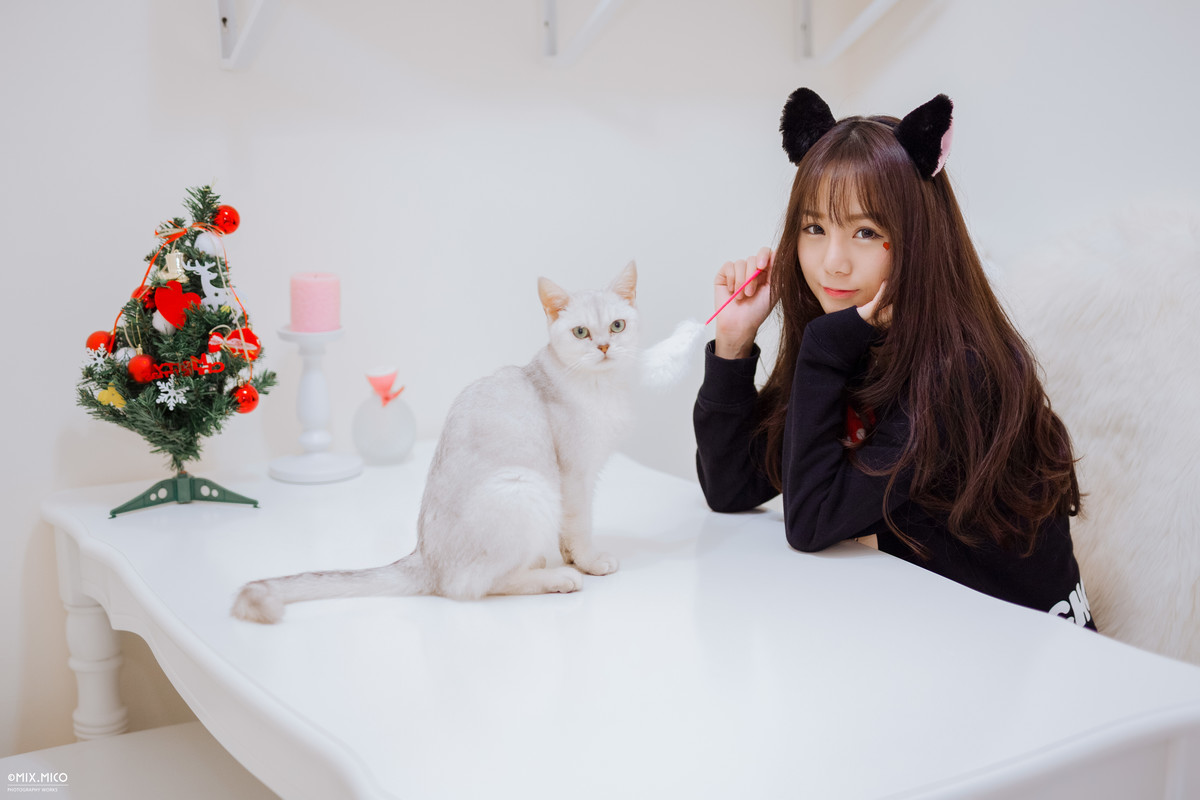 Cherry—Cat
