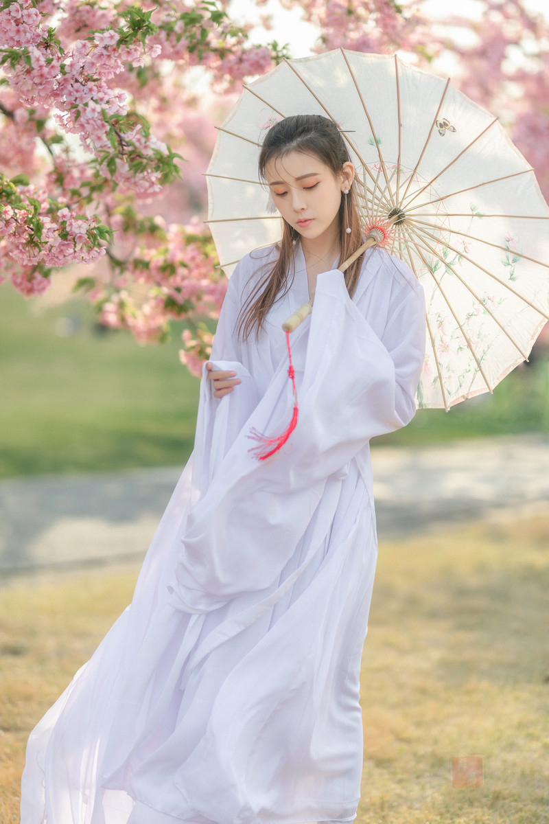 梦如—何必诗债换酒钱