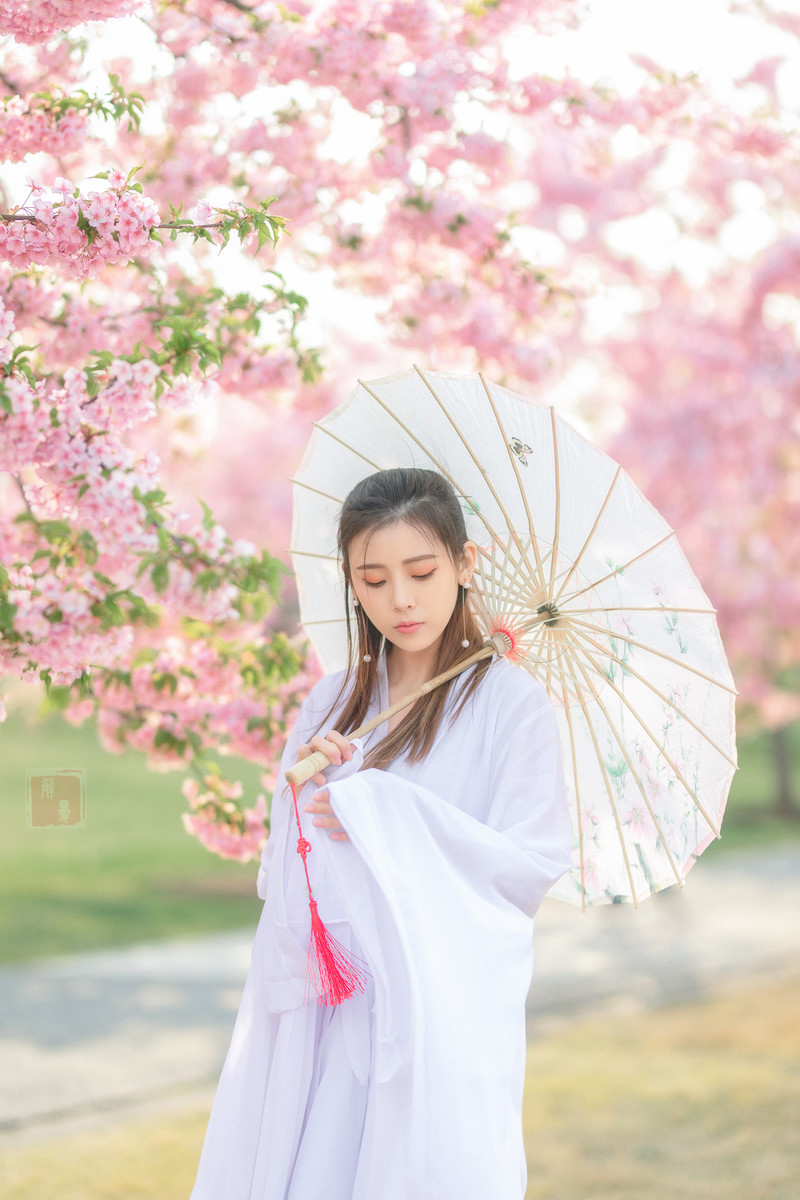 梦如—何必诗债换酒钱