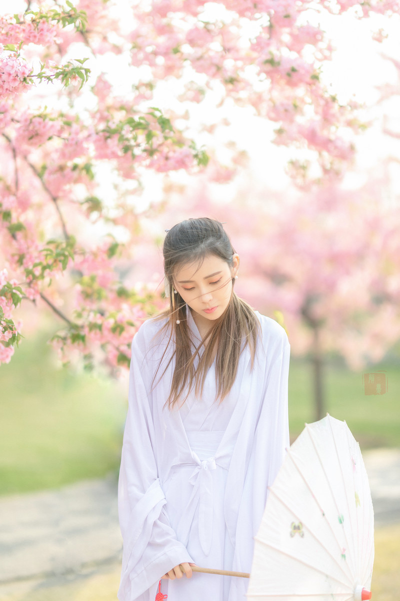 梦如—何必诗债换酒钱