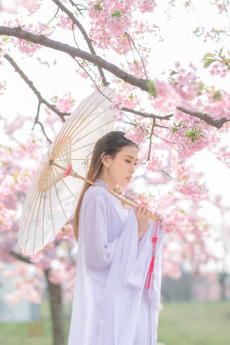 梦如—何必诗债换酒钱