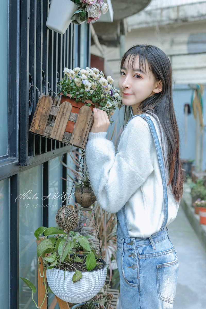 兔子—春天的花洒