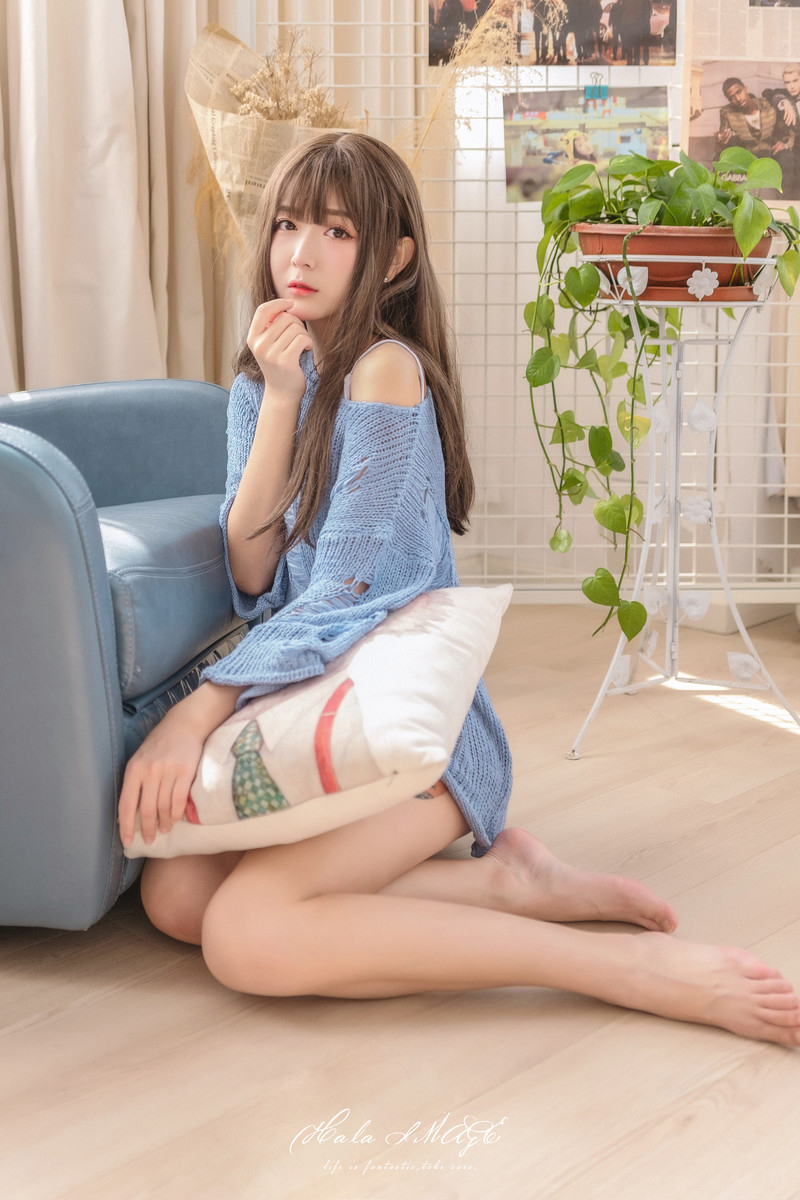 猫病—早安晨之美