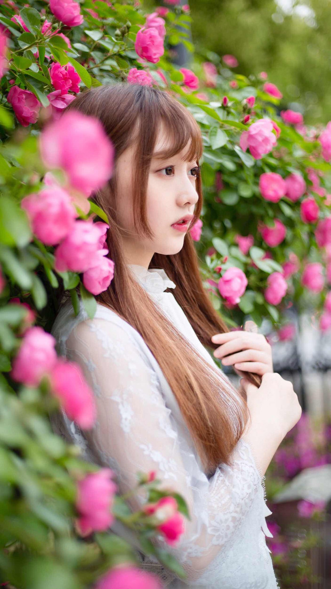 小秧秧—蔷薇少女