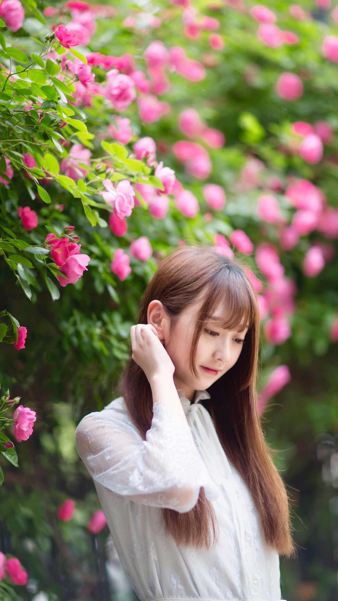 小秧秧—蔷薇少女