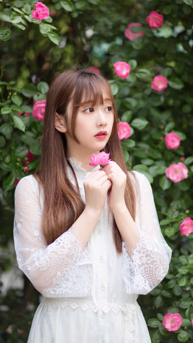 小秧秧—蔷薇少女