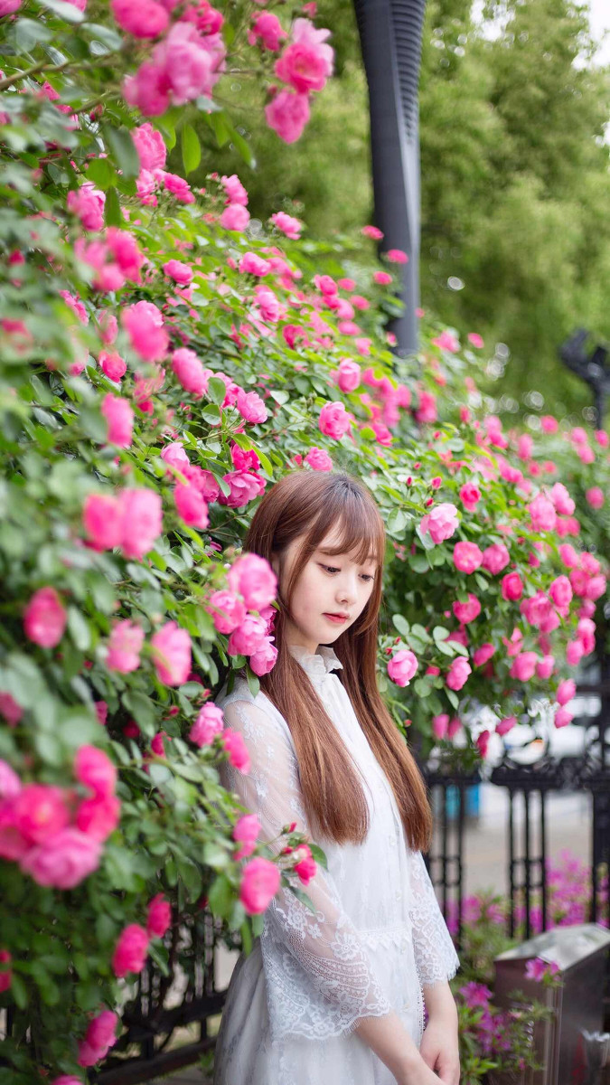小秧秧—蔷薇少女