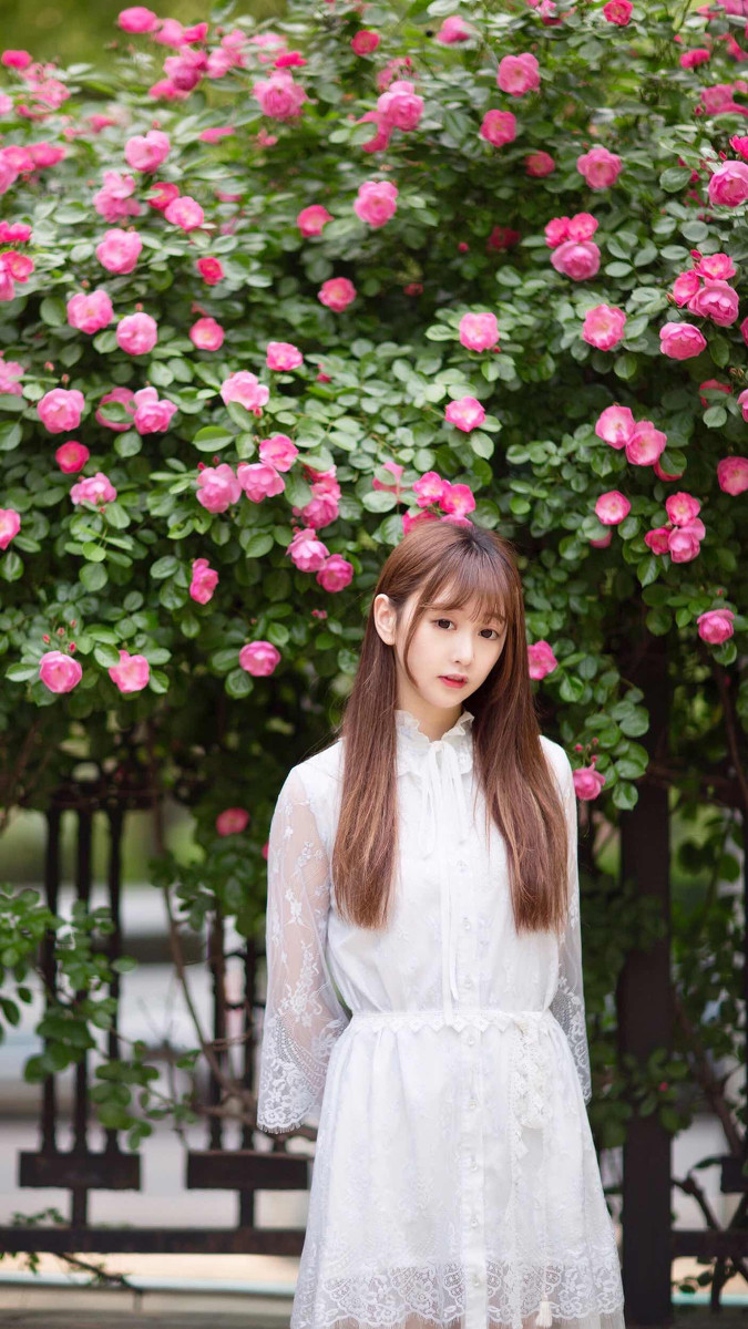 小秧秧—蔷薇少女