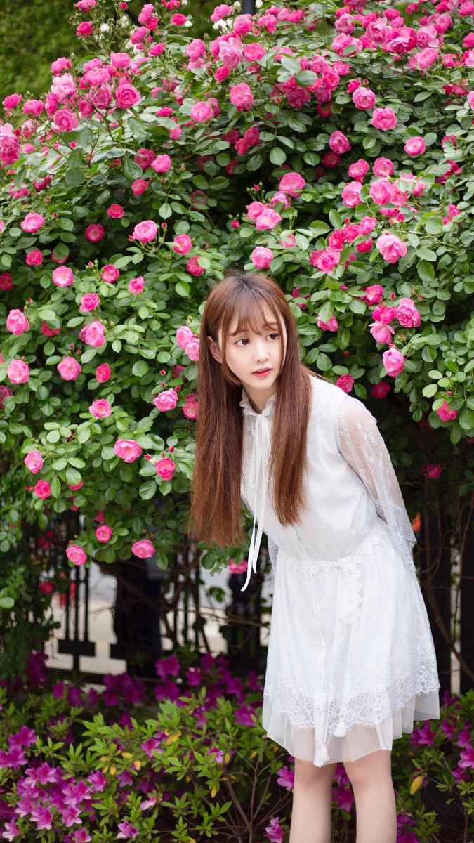 小秧秧—蔷薇少女