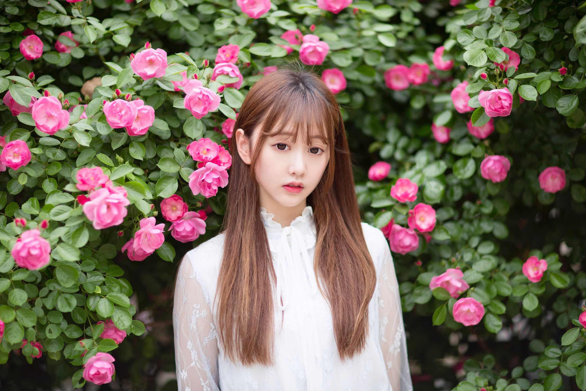 小秧秧—蔷薇少女