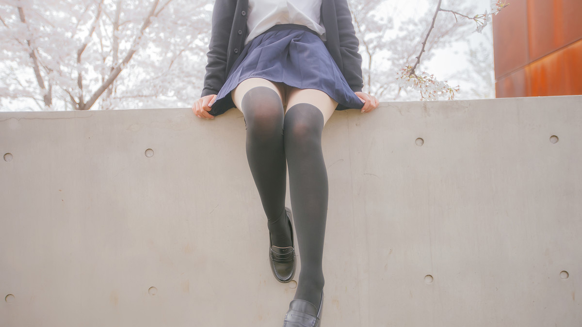 深雪—樱花樱花想见你