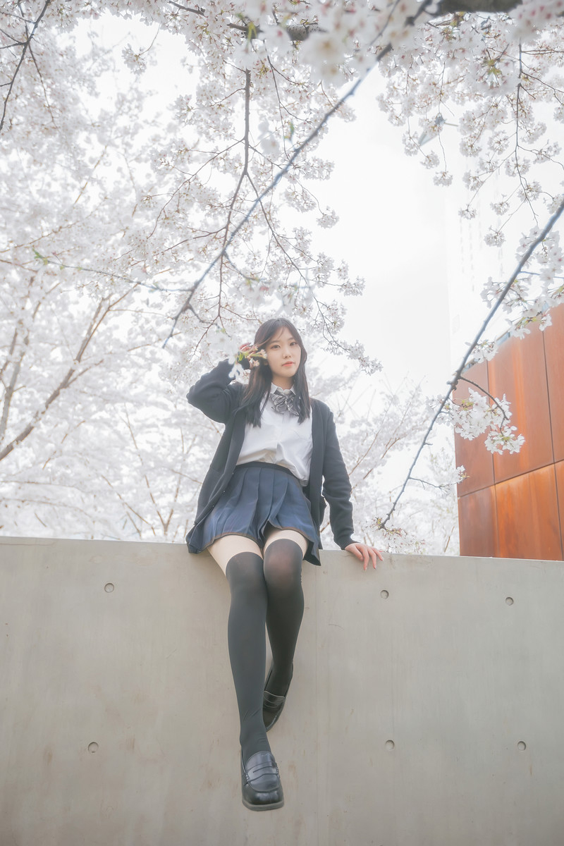 深雪—樱花樱花想见你